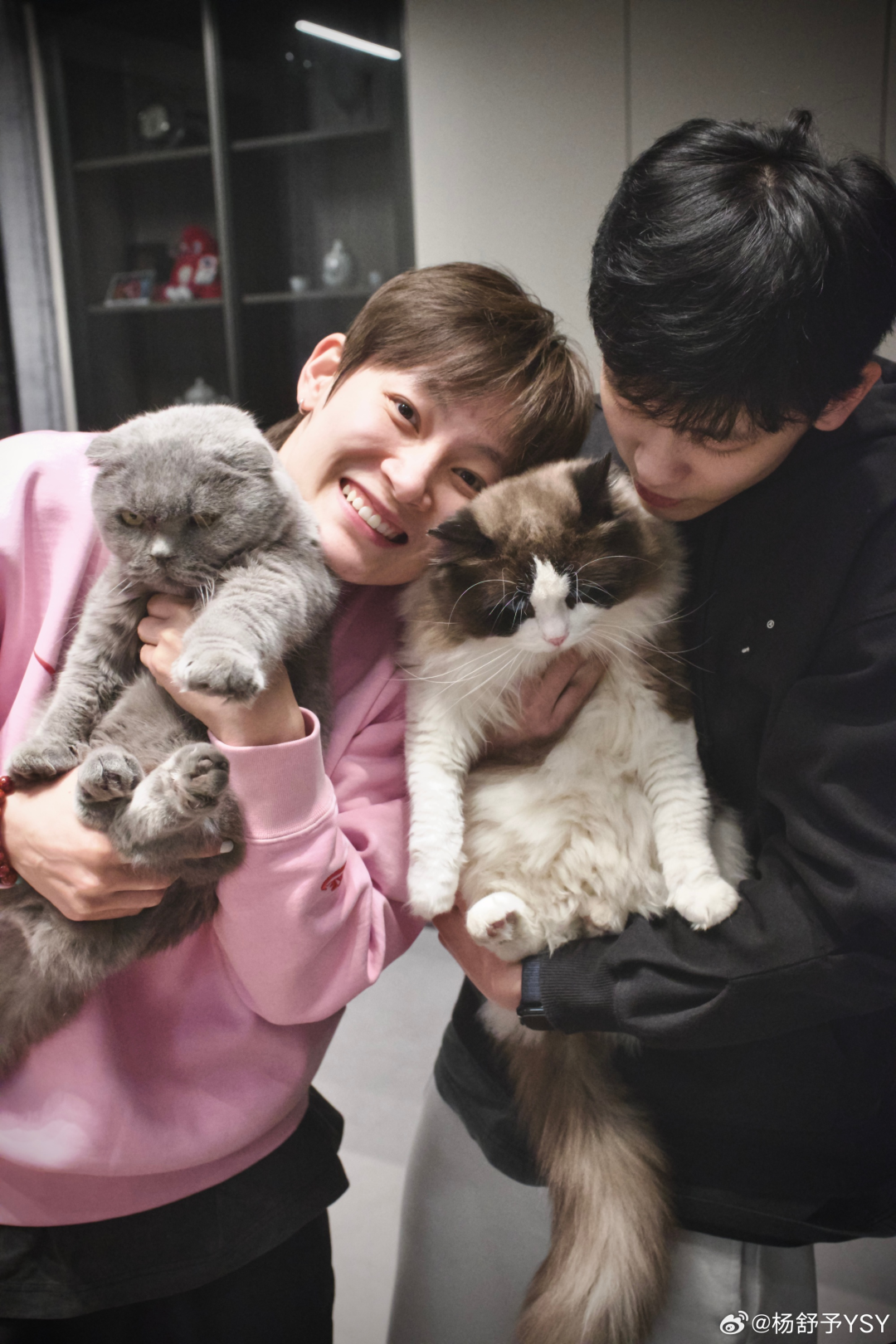 img, 杨舒予因家, 无法随队参 img, 杨舒予因家, 无法随队参